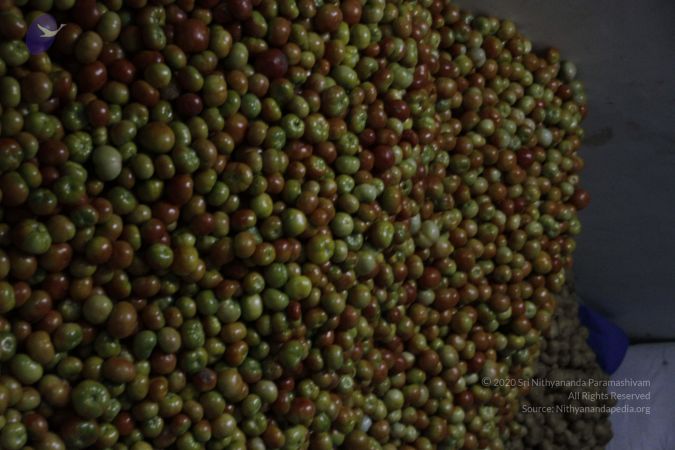 20120406 Photo 1208 1UBzr6 Jq8JZ-Fu42yRnm90GNgsWa-i8y.JPG