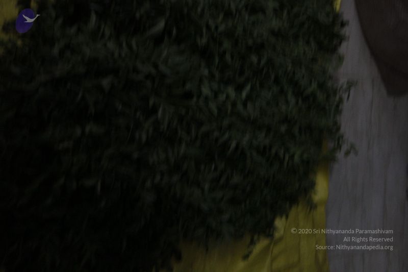 File:20120406 Photo 1210 19D JAj2MIeOAnzbSbEpDZjikaYxqb0Cn.JPG