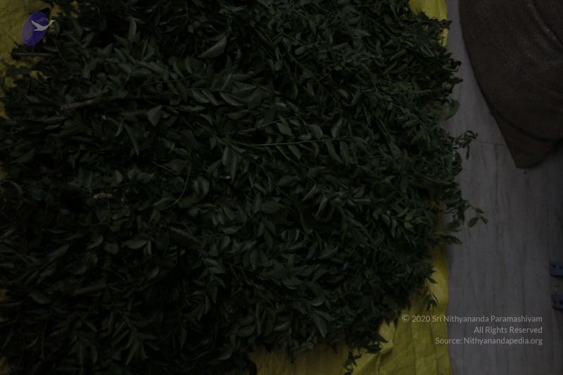 File:20120406 Photo 1211 1oaMR64MWI9D7vq3WNuftYG2GPI-3PuND.JPG