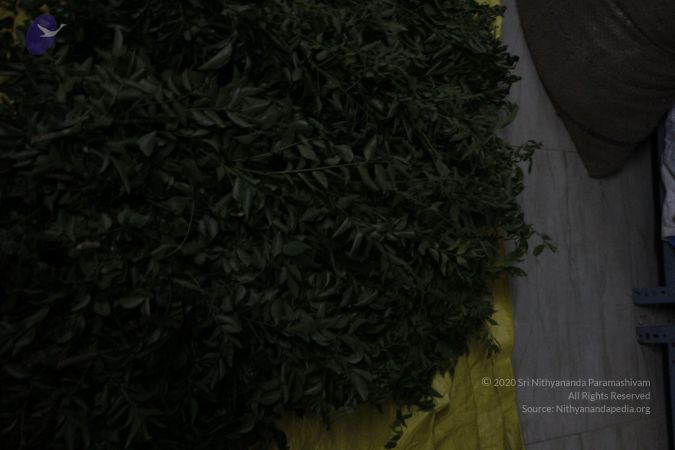 20120406 Photo 1212 1oe4qMuC9mcg8Nx6cf6VUCJZ22OLwzTUK.JPG