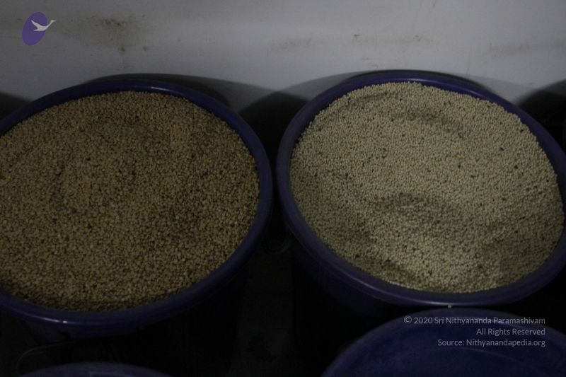 File:20120406 Photo 1223 1n7gePDMRsZNhhgz6t3oVFUm2rD9n0qFq.JPG