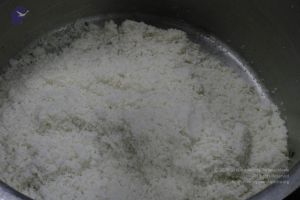 20120406 Photo 1228 1g-T71TiGCmVYBSSoBN7KDFP5HrOj82y1.JPG