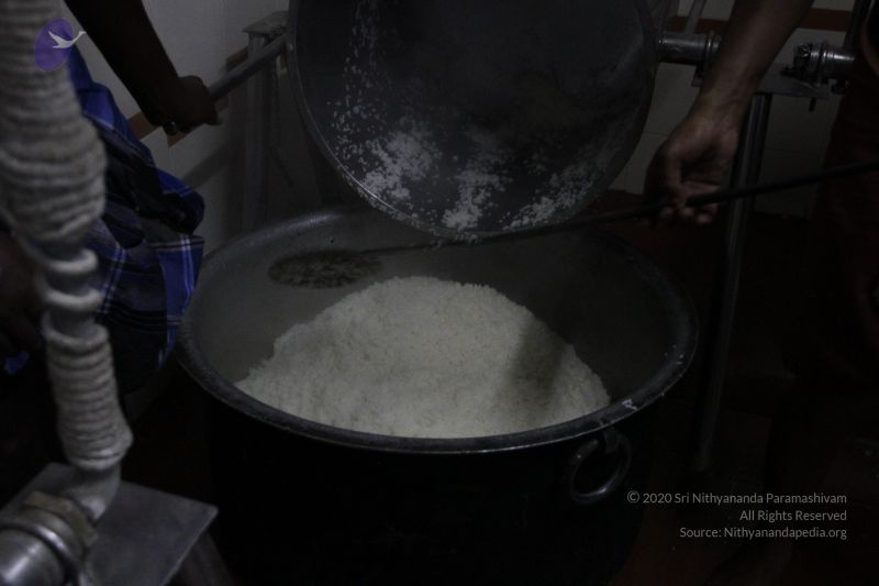 File:20120406 Photo 1233 1x48vawSf457xCnSyFNWpSmvzHojVZrEA.JPG