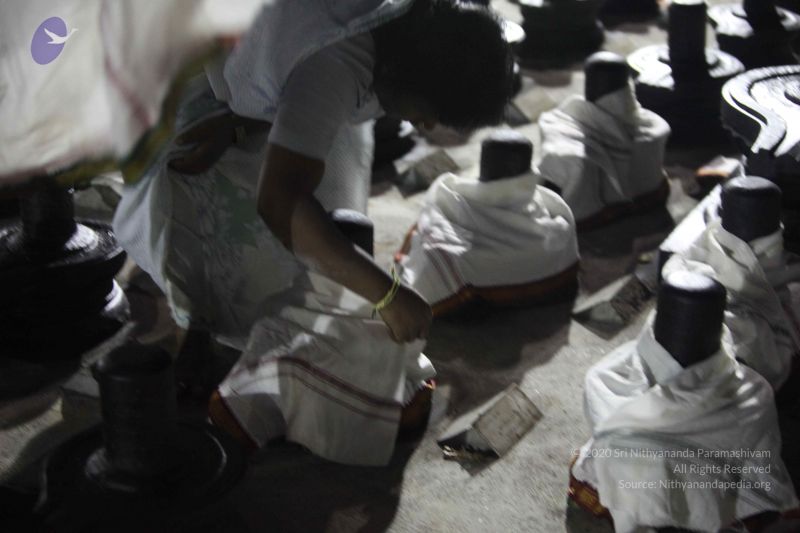 File:20120406 Photo 1298 1DXGlwV0AzQHEeqnO5vML R8InyPHXzlv.JPG