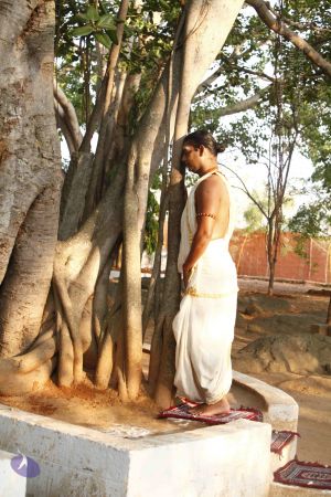 20120409 Photo 1035 14HrrBqXuKokoYwwoQjkLPeeoLlCtbxoS.JPG