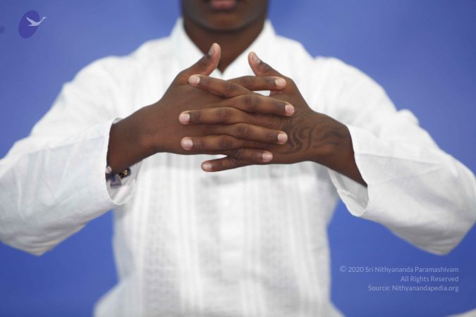 20120409 Photo 1391 1HXMWwosyHNt7X3Z2YwxDoMUxjSRjj SE.JPG