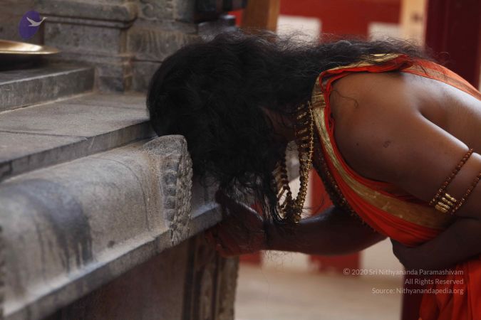 20120414 Photo 1049 1wyR2We2knLDXjX4HEp5aFjMrkrBHAP6s.JPG