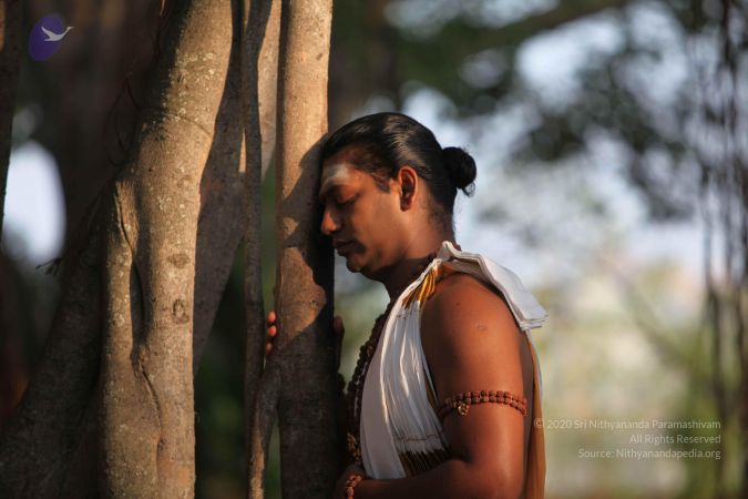 20120415 Photo 1003 1hTDiEr5MZrCJeWod9pjoMtA7zG5QVkTe.JPG