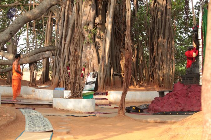 20120419 IMG 1422-11.jpg