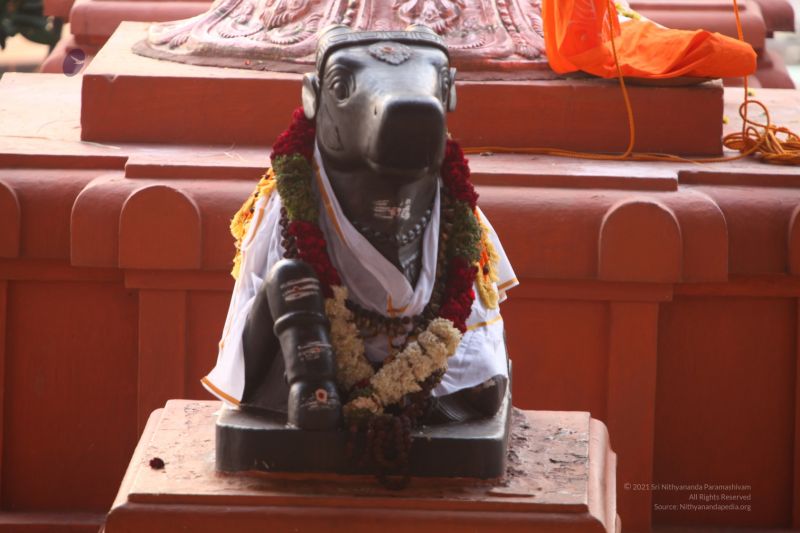 File:20120423 IMG 6534-08.jpg