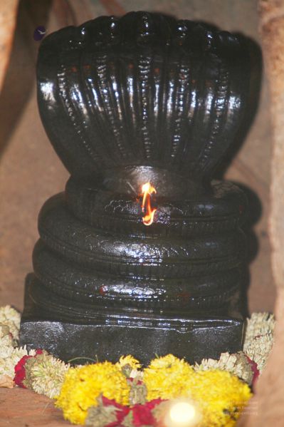 File:20120423 IMG 6538-11.jpg