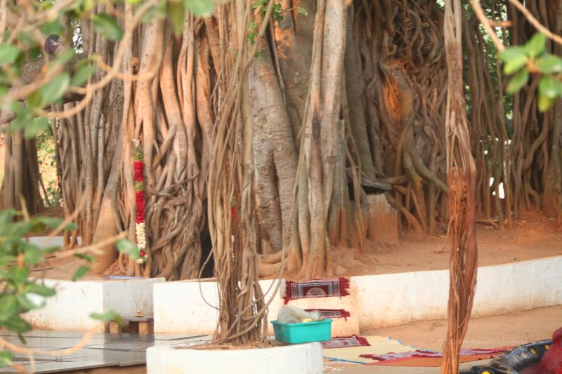 File:20120423 IMG 6555-28.jpg