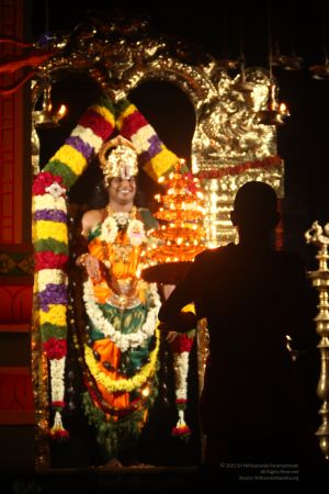 20120423 IMG 7211-23.jpg