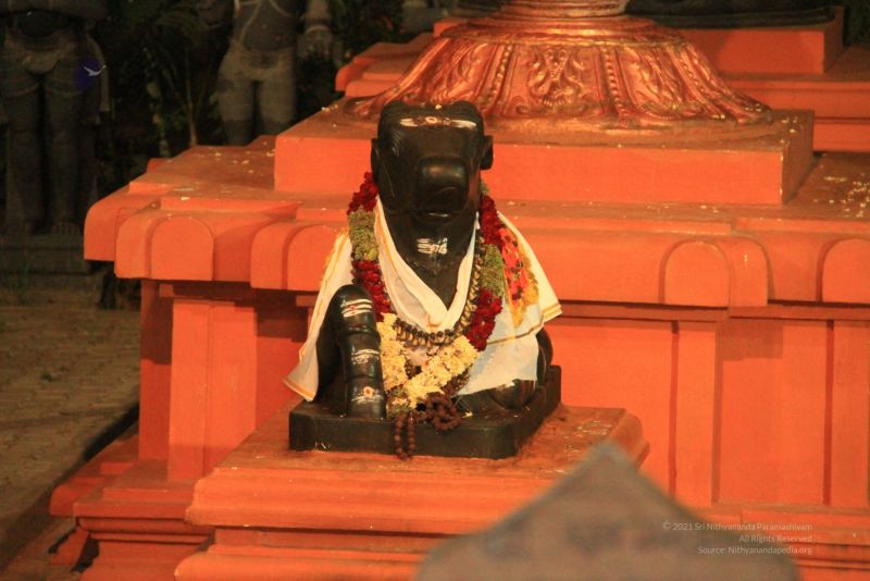 File:20120424 IMG 1889-07.jpg