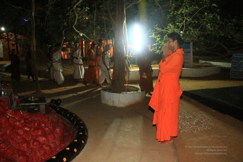 File:20120424 IMG 1954-51.jpg