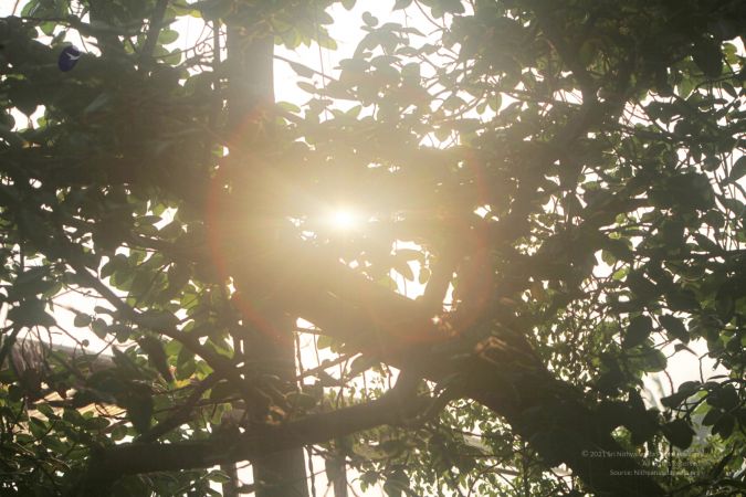 20120424 IMG 7516-15.jpg