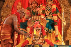 20120424 IMG 7904-28.jpg