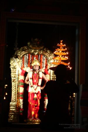 20120424 IMG 8181-11.jpg