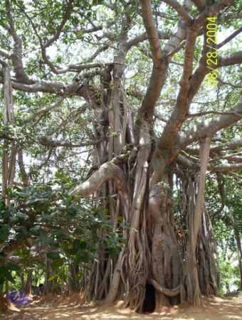 20120427 100 0581 CMP WM-1201.jpg