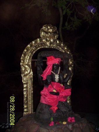 20120427 100 0640 CMP WM-2201.jpg