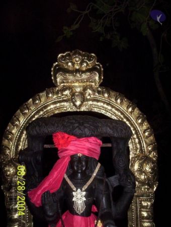 20120427 100 0644 CMP WM-2501.jpg