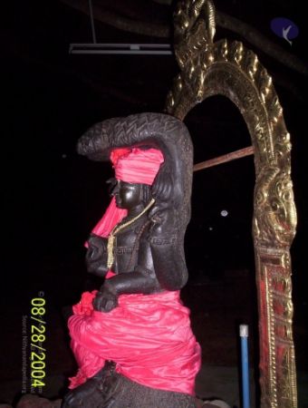 20120427 100 0653 CMP WM-2701.jpg