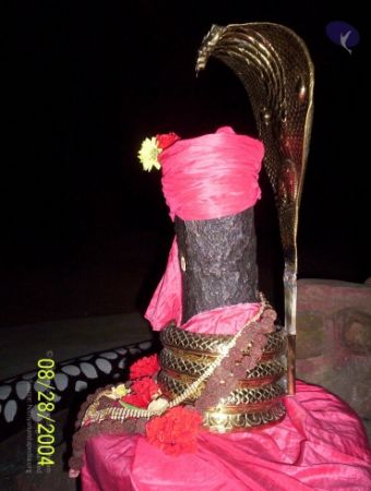 20120427 100 0665 CMP WM-3901.jpg