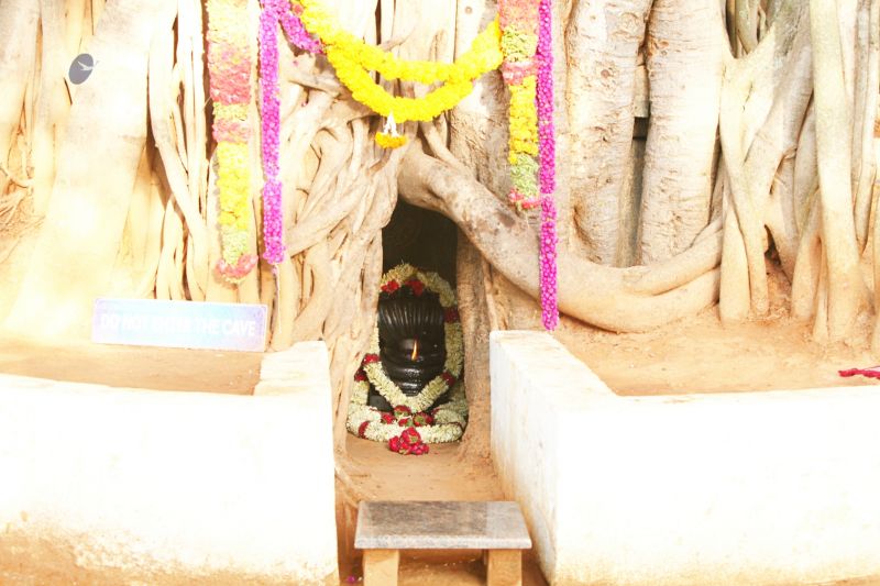 File:20120428 IMG 9823-0401.jpg