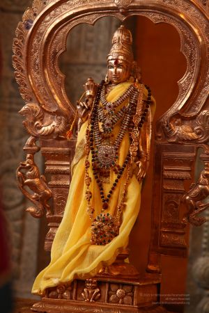 20120428 IMG 9837-1801.jpg