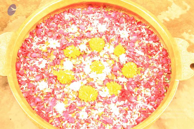 20120429 Photo 1009 10x6vnSZ7tkcaGnlfpiPyURS8S0AuouwX.JPG