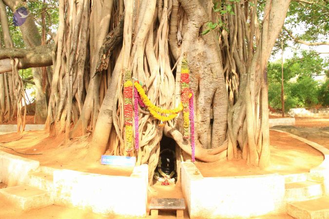 20120429 Photo 1025 1PXxst lTvv0P4oA1Qtz5WhHotCwktp9y.JPG