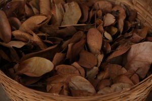 20120430 IMG 0007-0401.jpg