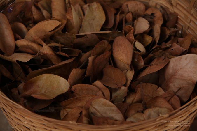 20120430 IMG 0007-0401.jpg