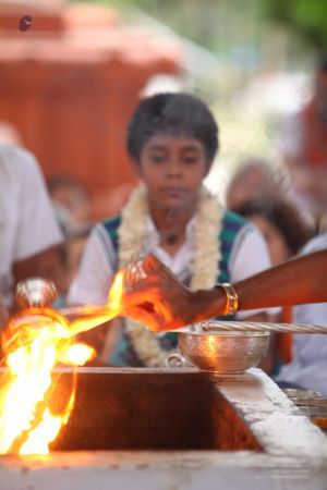 20120430 IMG 0090-5201.jpg