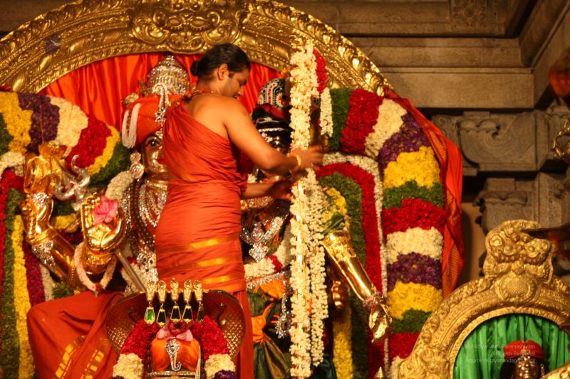 File:20120430 IMG 0404-10301.jpg