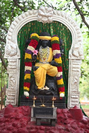 20120430 IMG 9963-7401.jpg