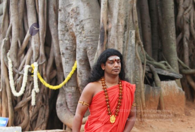 20120430 IMG 9987-9501.jpg