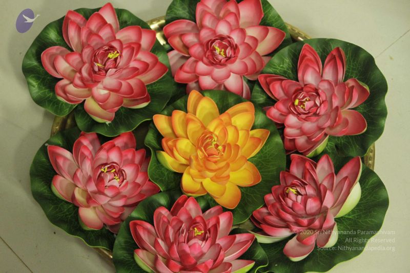 File:20120501 Photo 1084 1PQrQod6cTP0ufg1fSz2JmjTOu7TeaQ6g.JPG