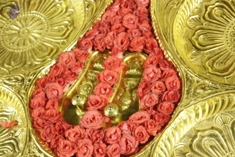 File:20120501 Photo 1091 1A5qeUPau7wPo-XzzwbQ8wjEF5xNAO0jI.JPG