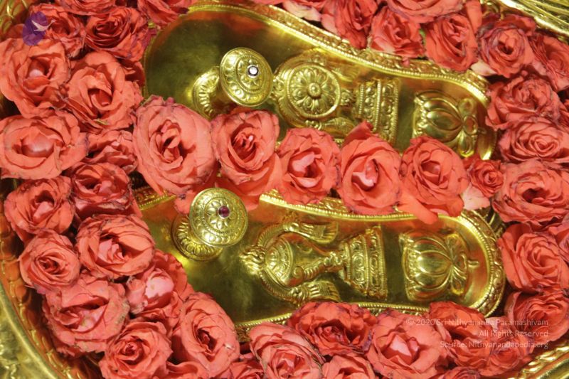 File:20120501 Photo 1093 1Po9Pp22egwPnMzdqbd65XtGixagzsaN7.JPG