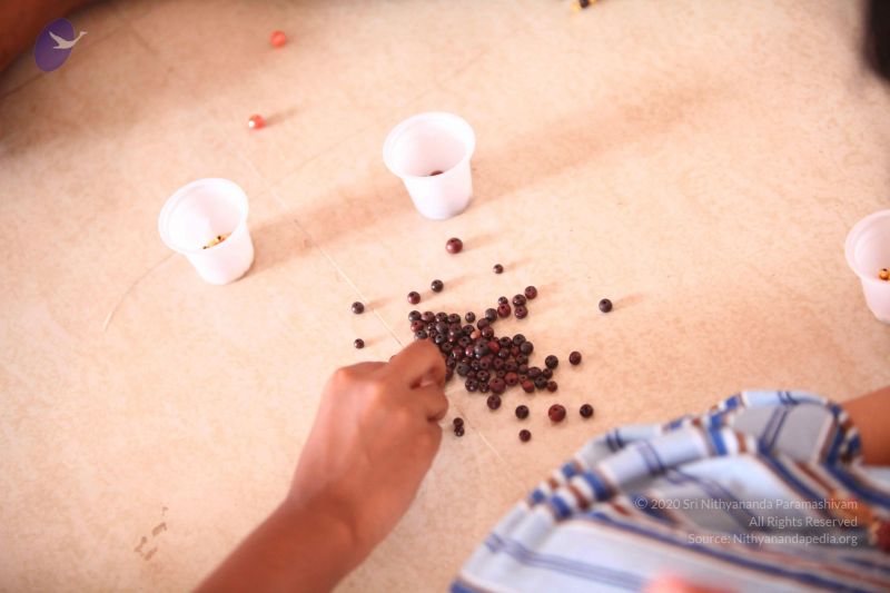 File:20120501 Photo 1292 1RpOsd6qHfHHmmemXaTGf-o6akZkov3A8.JPG