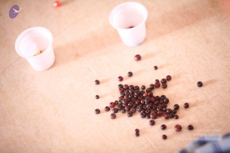 File:20120501 Photo 1293 1mkN9DAtkBL5-4xSqs7AdQUcHSb6TyWLV.JPG