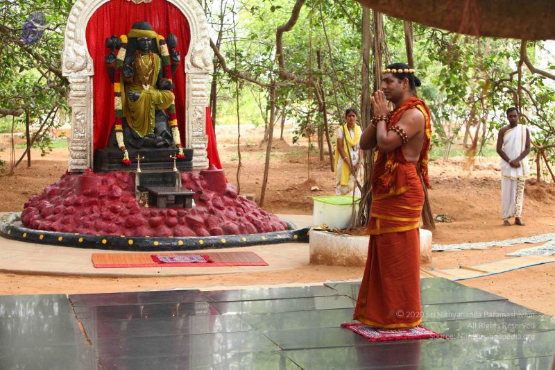 File:20120503 Photo 1035 12MaU5229PFa7GtyGBLlV41hTJVjVa2QE.JPG