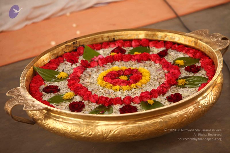 File:20120503 Photo 1177 1uVvq9qjDH0Dcxsi4Viz3cnrsZFUjm Gc.JPG