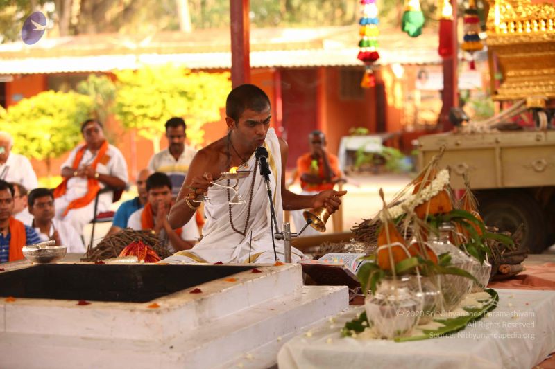 File:20120503 Photo 1188 1 tJDdVBClqlIut86EVqLHij7y3MxDWKB.JPG