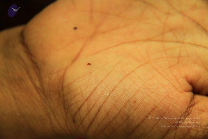 20120507 Photo 1100 1wjSU5JA-4szf1JxVmFWUAXjXtUjaTXXX.JPG