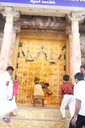 20120509 Photo 1111 14sekYEu-fzhBOTGryQOP0mtZvhfO6L5g.JPG