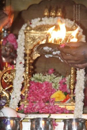 20120509 Photo 1138 1rgp2kbqVYpHdf0lmrDvOnkxwMJKPQJbX.JPG