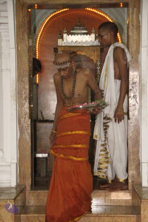 20120509 Photo 1151 1BCzgrnTxjQoMyJJNlGkTKBygxdBVjVRO.JPG