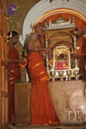 20120509 Photo 1157 1LddRTgYgk-VMzJuKFIDZbPoW5n2P6IMp.JPG